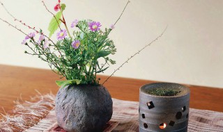 插花的方法 插花的方法图解大全