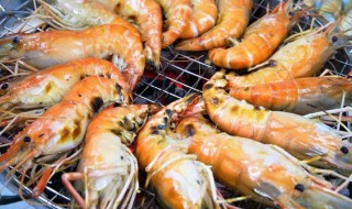 活虾运输的方法 活虾运输的方法有哪些