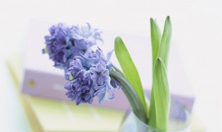 短句霸气激励人心押韵（押韵经典语录太经典了霸气）