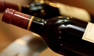 品酒的方法与技巧（品酒的正确姿势）