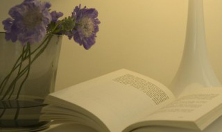 正能量清新文艺的句子 正能量清新文艺的句子7字以内