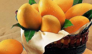 芒果的挑选方法（芒果的挑选方法和技巧）