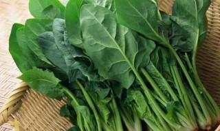 挑菠菜的正确方法 挑菠菜的正确方法图解