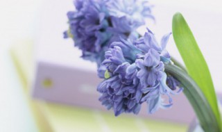 干净温柔签名短句 干净的签名句子