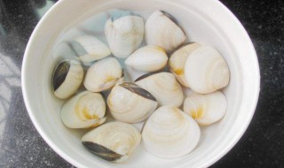 挖白贝的正确方法（挖白贝的正确方法图片）