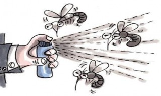 苍蝇怎么消灭简单方法 苍蝇怎么消灭简单方法视频