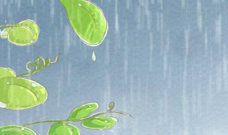 下雨防雨怎么解决 下雨天做好防雨工作