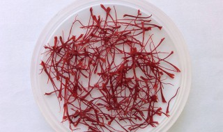 喝藏红花要忌口什么（喝藏红花要忌口什么呢）