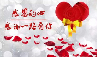 感恩节送老师什么礼物 感恩节送老师什么礼物最合适幼儿园