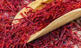 藏红花真假怎么鉴别 藏红花真假怎么鉴别 鉴别真假藏红花方法