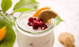 自己做酸奶用什么菌好 自己做酸奶用什么菌好呢