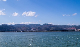 昆明哪些地方好玩（昆明哪些地方好玩免费）