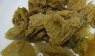 鸡内金片的功效与作用（复方鸡内金片的功效与作用）