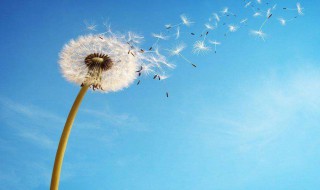 教师节的句子感谢老师的（教师节的句子感谢老师的话语）