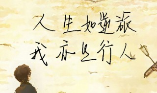 励志鸡汤 励志鸡汤故事