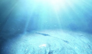 海底9万米有多恐怖 海底一万米吓疯潜水员
