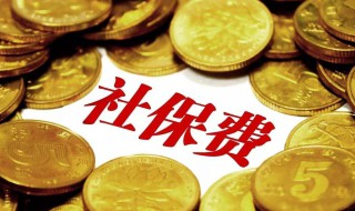 社保可以退吗 社保可以退吗?能退多少
