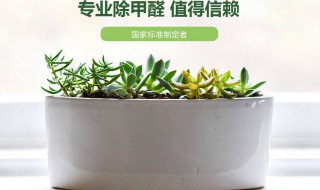 除甲醛最可靠的方法 除甲醛最可靠的方法是什么