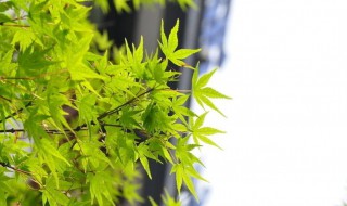 翻开以前照片心情短语 致回不去的青春的句子