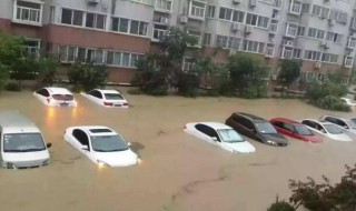 泡水车为什么不能要 泡水车为什么不能要买过二手车的来说说