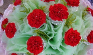 教师节送什么花好送几朵（教师节送什么花最佳）