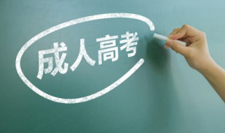 成考有什么专业 成考有什么专业浙江