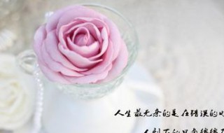 今天太累了的说说 今天太累了的说说短语