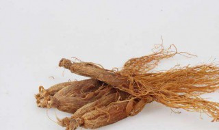 红参和高丽参有什么区别（女性吃红参的最佳时间）