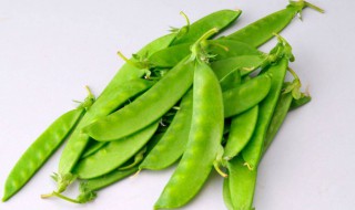 荷兰豆长大了就叫豌豆吗（荷兰豆长大了就叫豌豆吗为什么）
