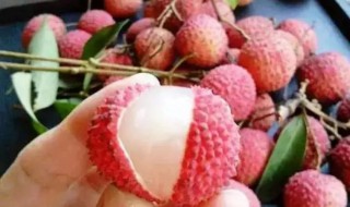 如何简单快速剥荔枝（怎么快速剥荔枝）