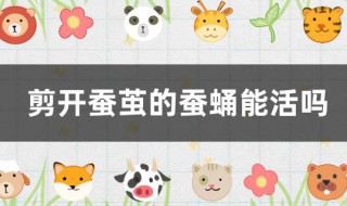 剪开蚕茧的蚕蛹能活吗 剪开蚕茧的蚕蛹能活吗视频
