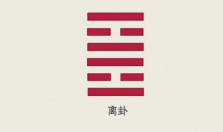 离卦代表什么（离卦代表什么物品）