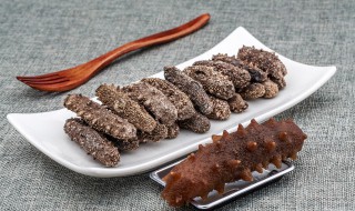 怎么泡干海参 怎么泡干海参好吃