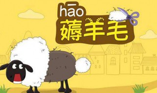 褥羊毛是什么意思 薅羊毛是什么意思