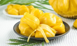 菠萝蜜要怎么存放老是容易坏（菠萝蜜放多久会坏掉）