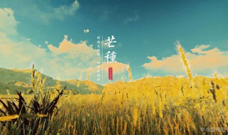 有关芒种的谚语和诗句 有关芒种的谚语和诗句有哪些