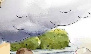 发生火灾如何处理5步骤（火灾发生时该如何进行处理）