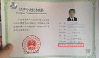证件编号是什么意思 学信网证件编号是什么意思