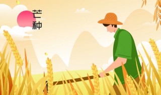 24节气分别是什么（一年有24节气分别是什么）