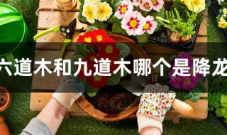 六道木和九道木哪个是降龙木 六道木和九道木哪个是降龙木的别称