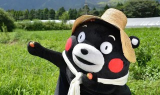 如何给村长和熊本熊拍合照（如何给村长和熊本熊拍合照视频）