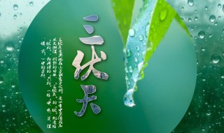 2021年头伏是哪天? 2021年头伏是哪天几点