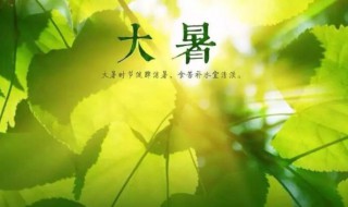 2021大暑是农历几月几日 大暑是几月几日2021年