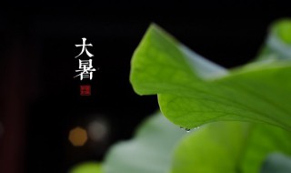 大暑要注意什么 大暑注意什么吃什么