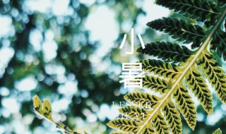 小暑是哪天2021（小暑是几月几日）