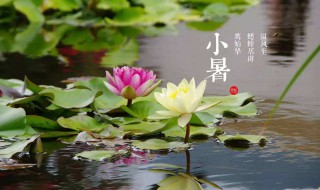 2021小暑节气特点介绍（小暑节气2021年）