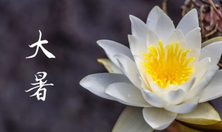 大暑是什么时候2021年（2021年啥时候大暑）