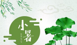 2021年小暑具体时间（2021年小暑具体时间几点到几点）