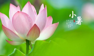 2021年小暑是阳历几月几日（2021年小暑是什么时辰）