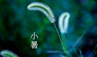 2021年小暑是什么时候（2021年小暑具体时间）